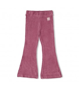 Jubel Flared broek velours rib - Forest Fancy