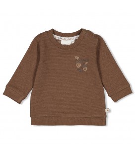 Feetje Sweater rib - Acorn