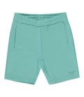 Carsjeans AENGUS Short Mint